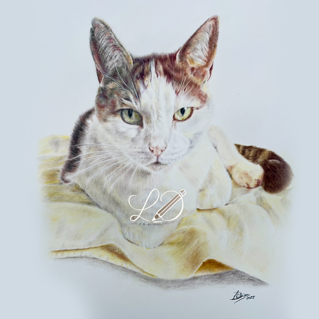 Brown and white cat, lying on a yellow blanket.